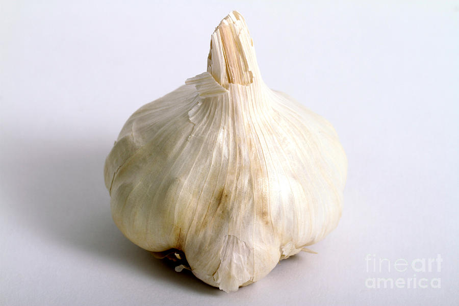 Vegetable Photograph - Garlic by Photo Researchers, Inc.
