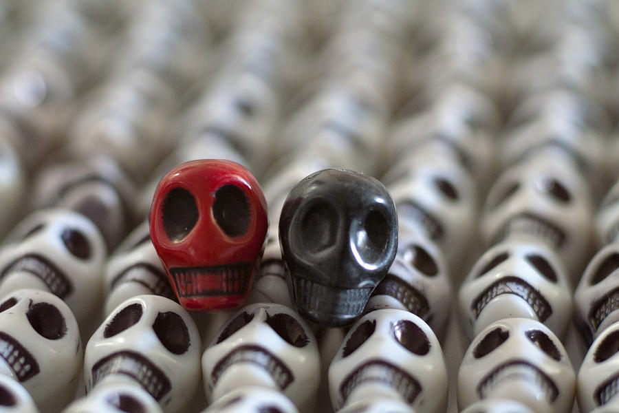 Skull Photograph - Garnet And Black by Mike Herdering