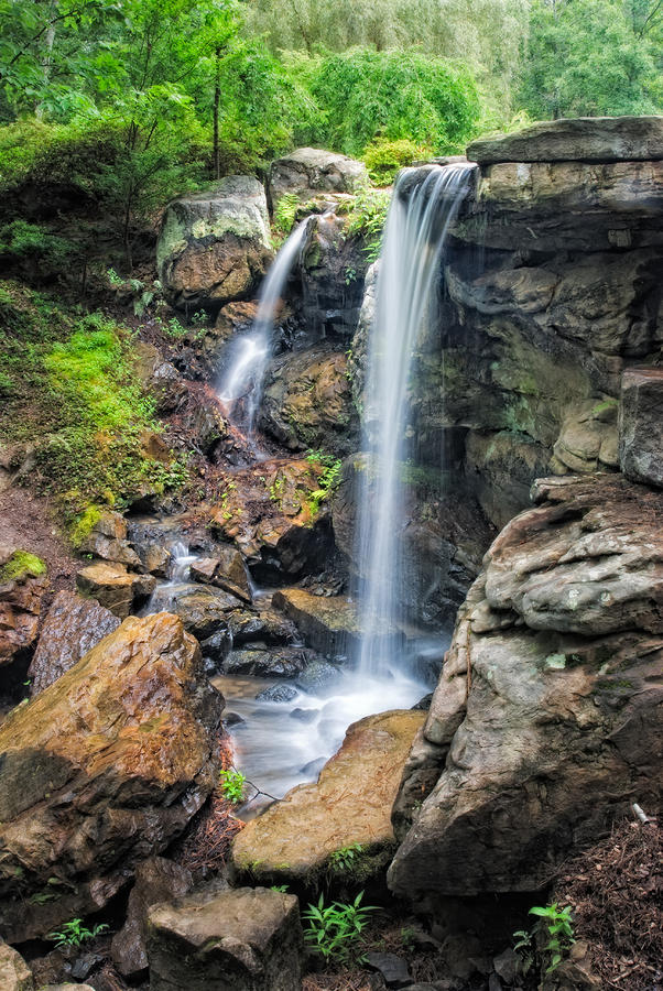 Garvan Garden Waterfall by Terry Olsen