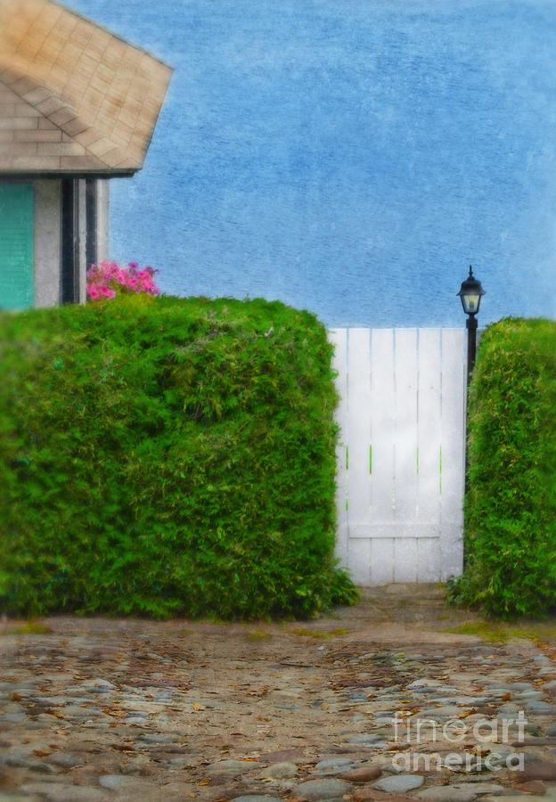 Gate to Cottage by the Sea Photograph by Jill Battaglia