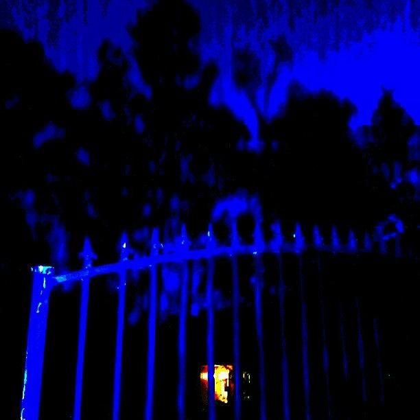 Gated Community At Night Photograph by Katrise Fraund