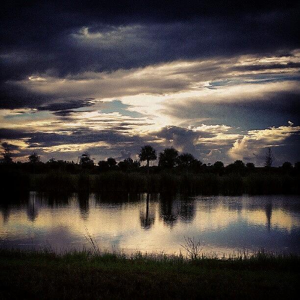 Istabilizer Photograph - Gator Pond #florida #instamood #skyporn by Dan Piraino