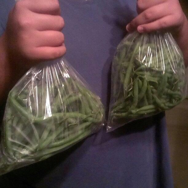 Gave Away 8 Bags If Green Beans From A Photograph by Jedi Fuser