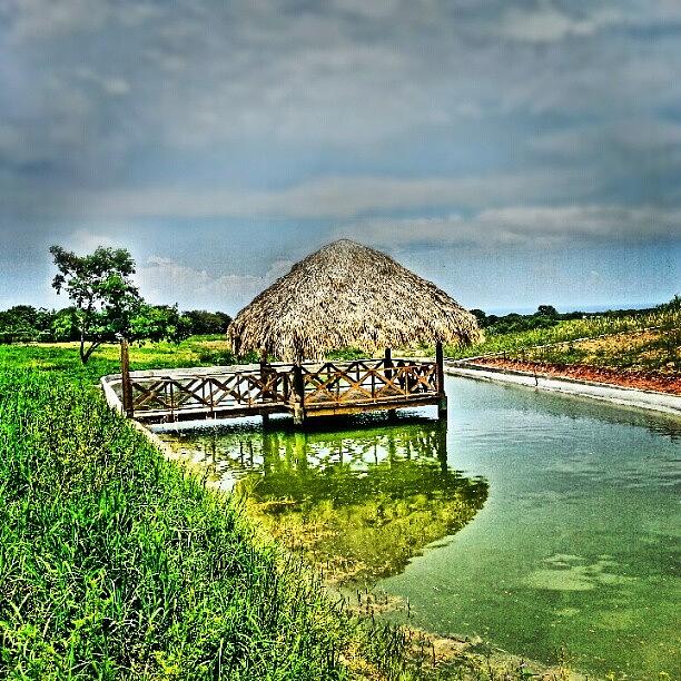 Nature Photograph - #gazebo #choza #estanque #pond by Idrialis Castillo