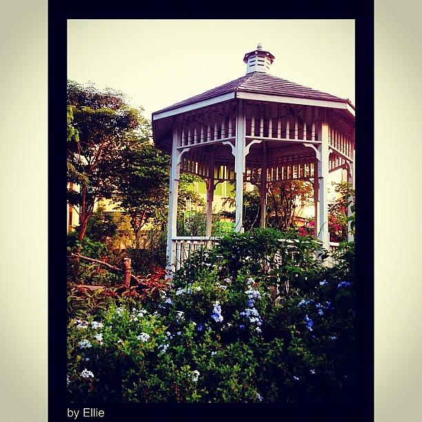 Nature Photograph - Gazebo by Ellie Doong