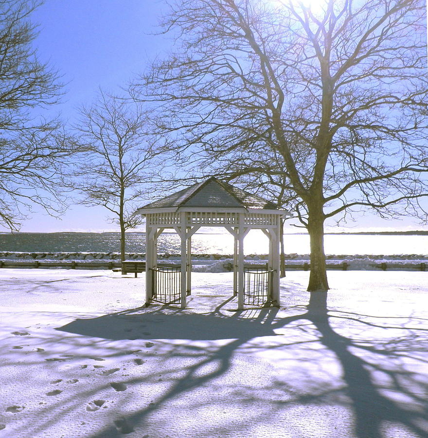 Tree Photograph - Gazebo in Winter by Kate Gallagher