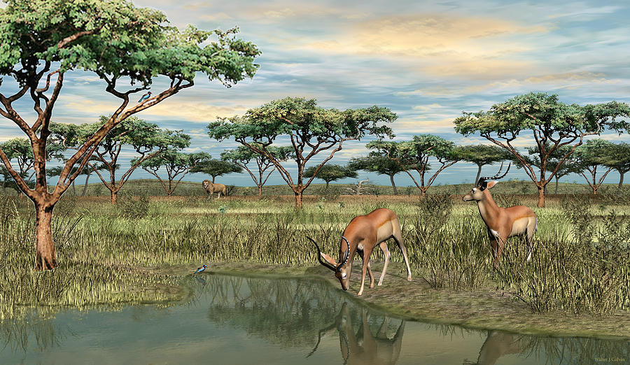 Gazelle at the Water Hole Digital Art by Walter Colvin