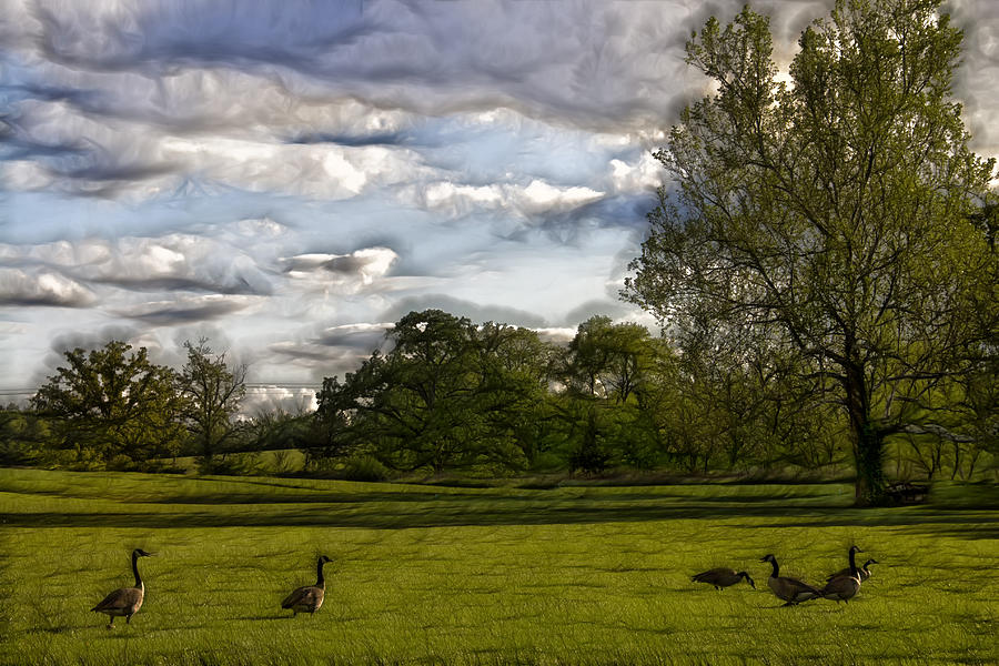 Geese on Painted Green 2 Photograph by Bill and Linda Tiepelman