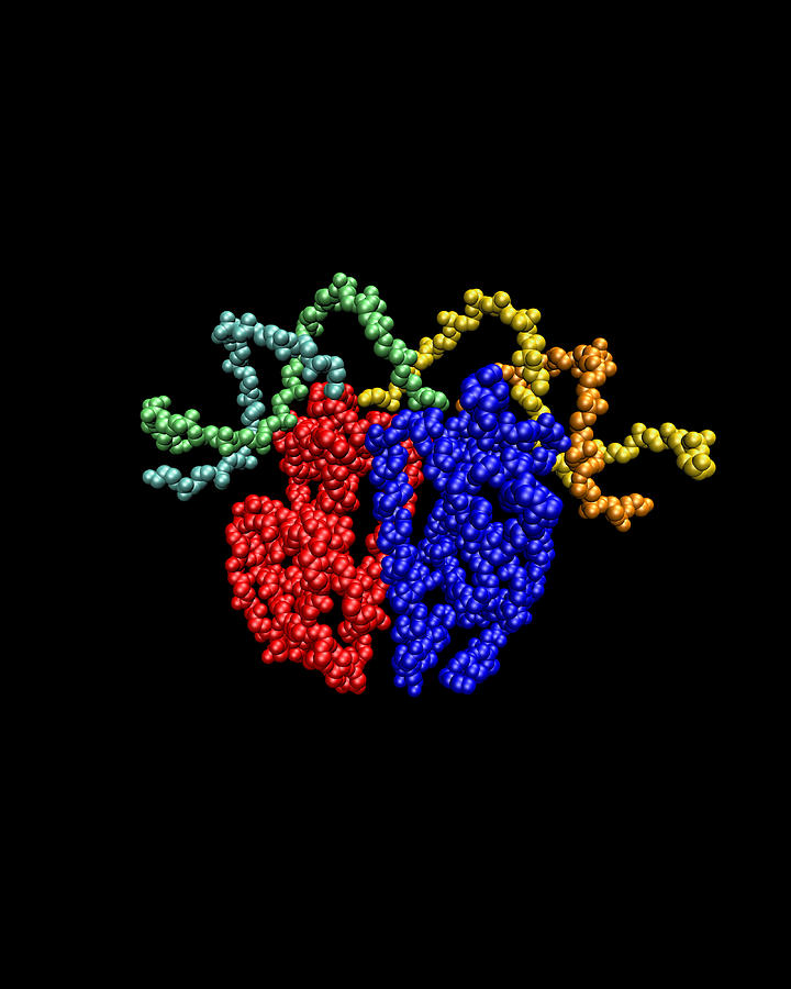 Protein Photograph - Gene Activator Protein by Dr Tim Evans