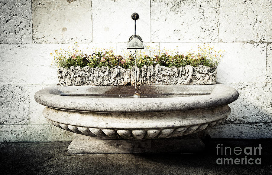 Geneva Fountain 2 Photograph by RicharD Murphy