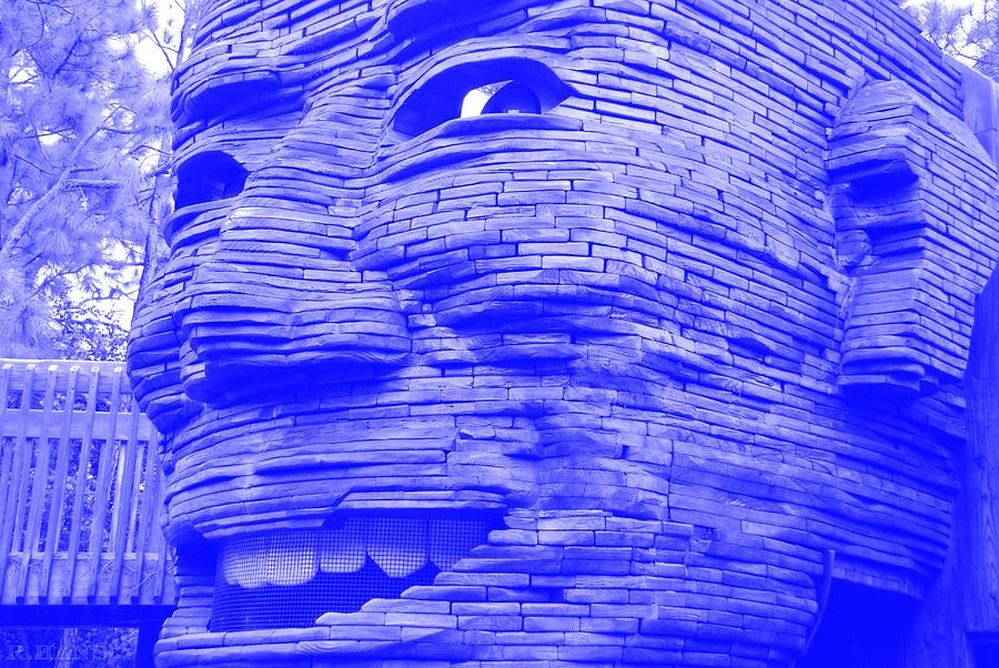 GENTLE GIANT in NEGATIVE BLUE Photograph by Rob Hans