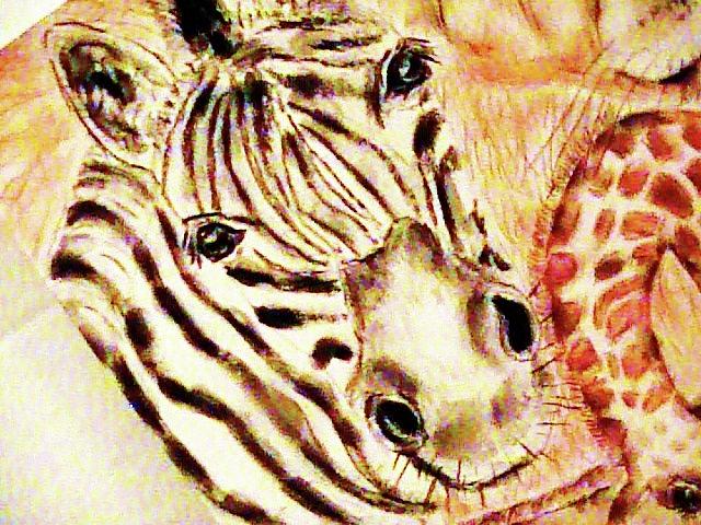 Wildlife Drawing - Gentle Zebra by Forartsake Studio