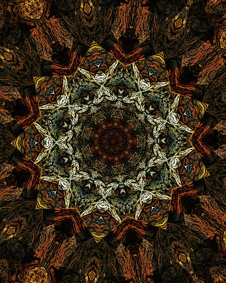 Geometric Abstract 091311 Digital Art by David Lane