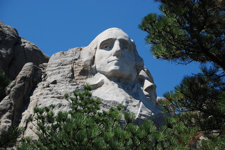 George Washington face  Photograph by Dany Lison