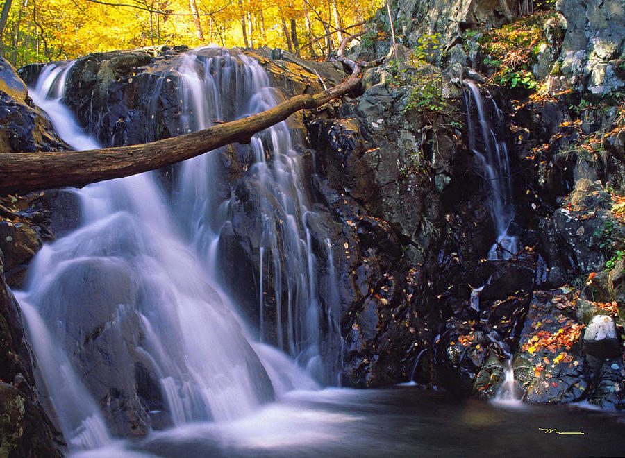 George Washington National Forest Virginia Photograph By Marsha Williamson Mohr Fine Art America 0395