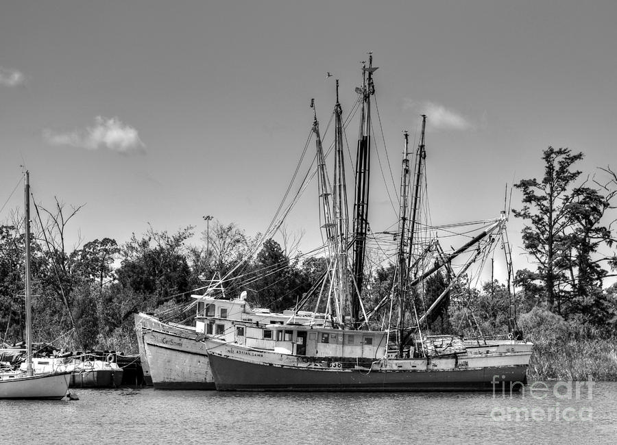 Georgetown Shrimping Boats Photograph by Kathy Baccari