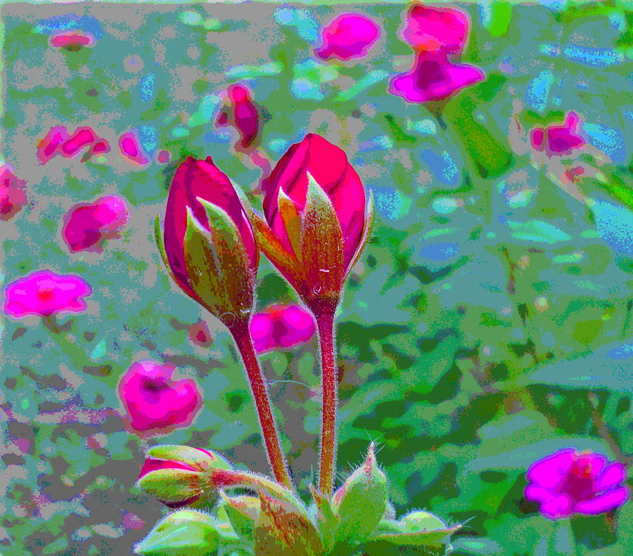 Geranium Buds and Zinnia Photograph by Padre Art
