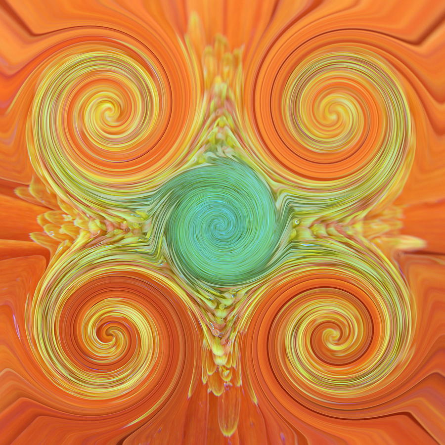 Gerbera Abstract Photograph by Chris Day