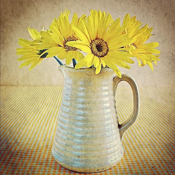 Flower Photograph - Gerbera Daisies #yellow #beyondlayers by Lynne Daley