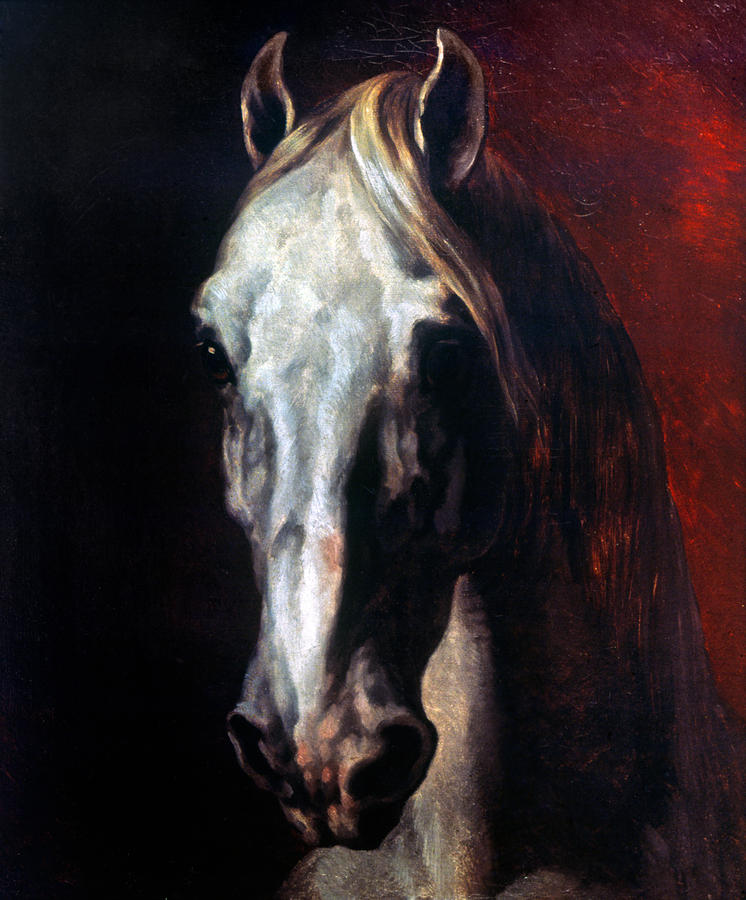 Gericault: White Horse Photograph by Granger