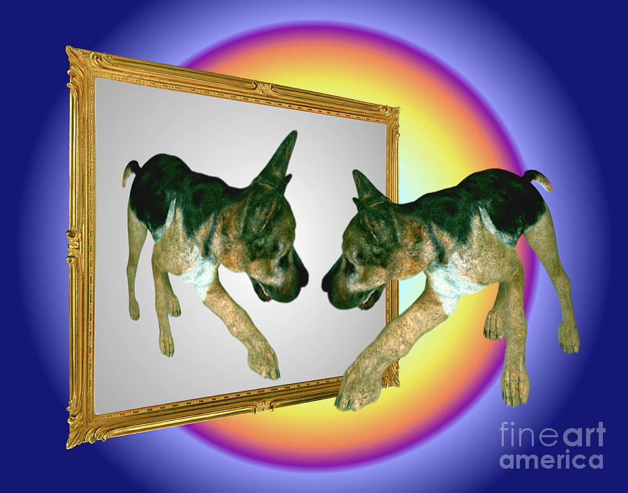 German Shepherd Digital Art - German Shepherd Puppy In Mirror by Smilin Eyes Treasures
