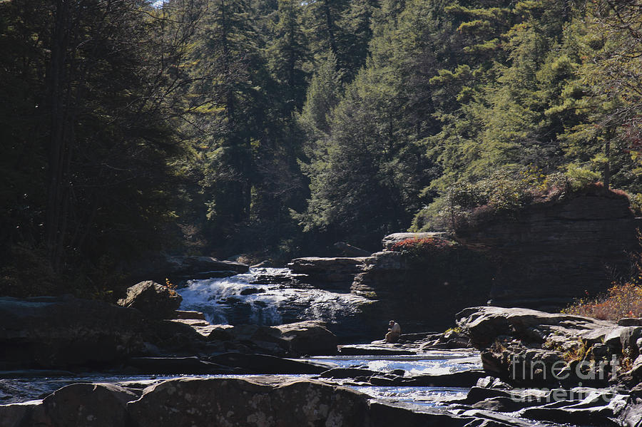 Getting Ready to Fish at Swallow Falls State Park in western Maryland Photograph by William Kuta