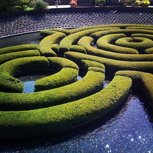 Los Angeles Photograph - Getty Museum Gardens by Crystal Peterson