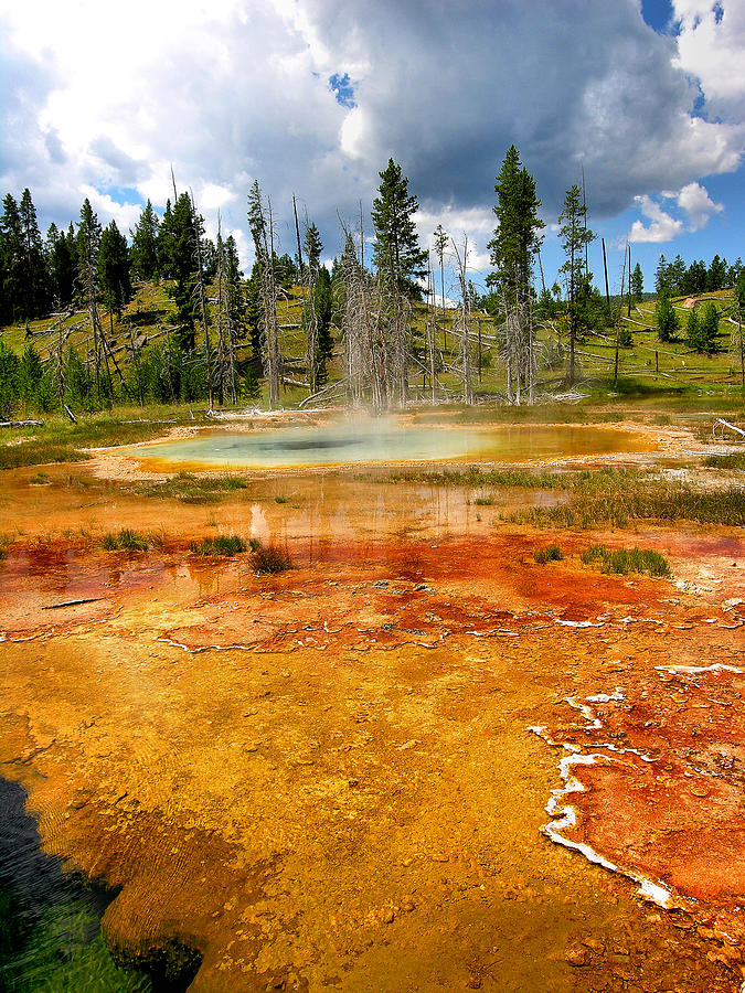 Geyser Pool At Yellowstone Photograph by Steven Ainsworth