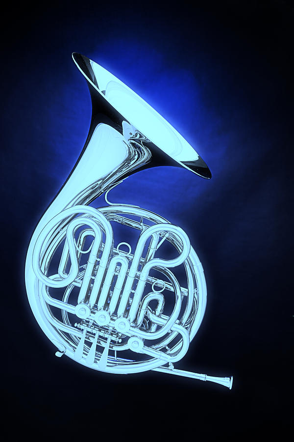 Ghost French Horn on Bluw Photograph by M K Miller