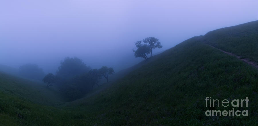 Sunset Photograph - Ghostly Twilight Fog by Matt Tilghman