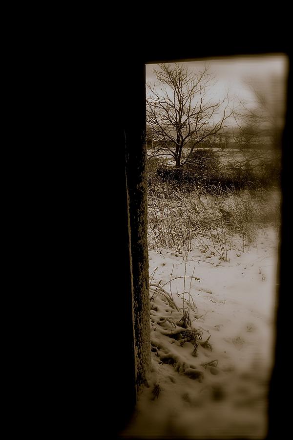 Ghostly Winter Photograph by David  Hubbs