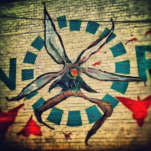 Butterfly Photograph - Giant Flying Orchid #graffiti by CactusPete AZ