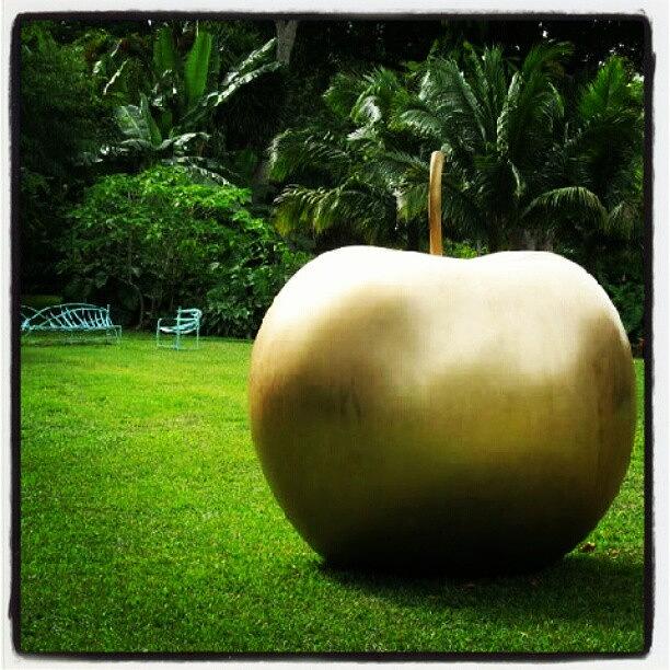 Miami Photograph - Giant Gold Apple At A Sculpture Exhibit by Yvette Harbour