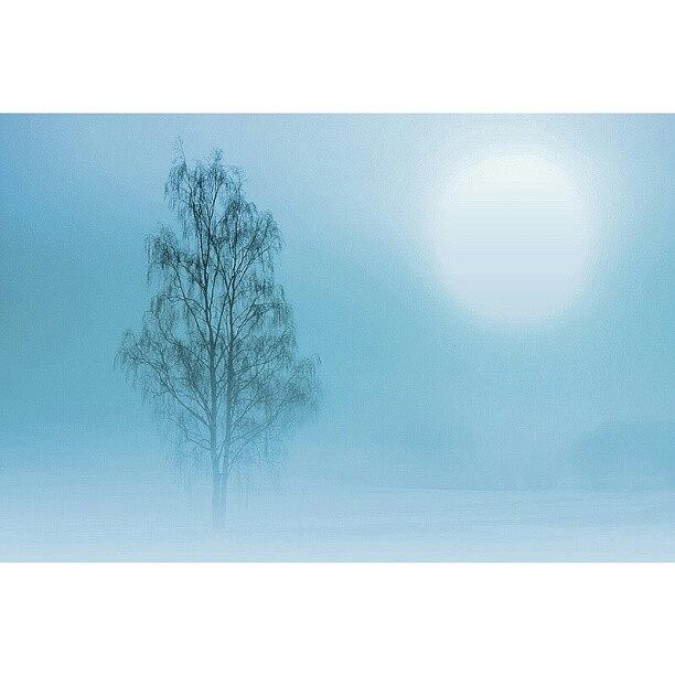 Winter Photograph - Giant Sun II #iphonesia #instagood by Robin Hedberg