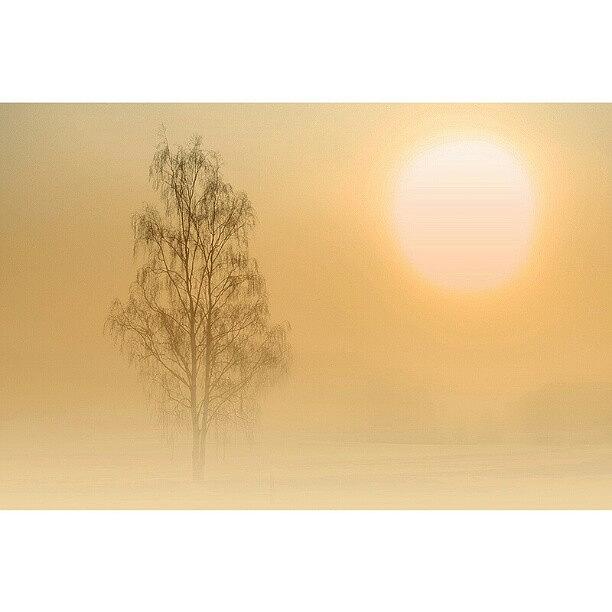 Winter Photograph - Giant Sun #iphonesia #instagood by Robin Hedberg