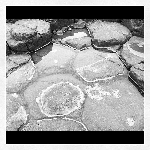 Black And White Photograph - Giants Causeway by Brenda Brolly