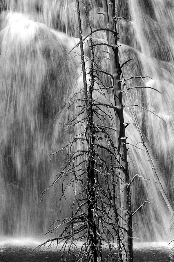 Gibbons Falls in Yellowstone National Park Photograph by Randall Nyhof
