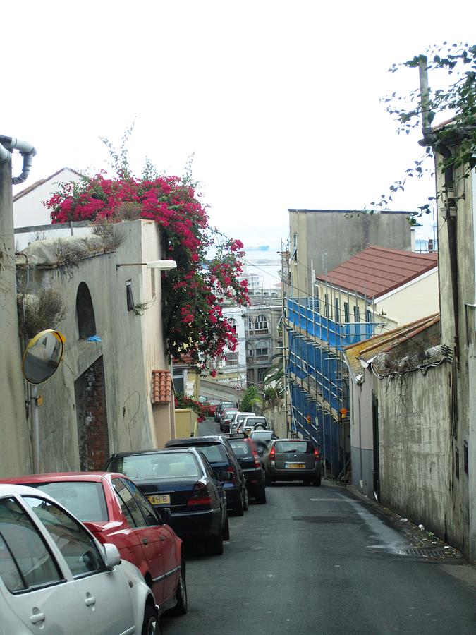 Gibraltar Old Side Street Parked Cars Photograph by John Shiron
