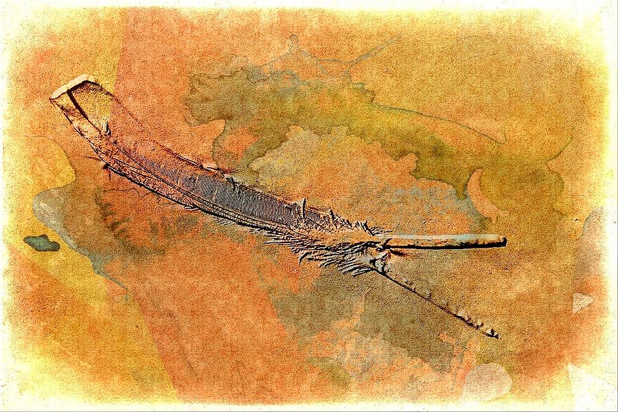 Feather Still Life Digital Art - Gift From A Goose by Carrie OBrien Sibley