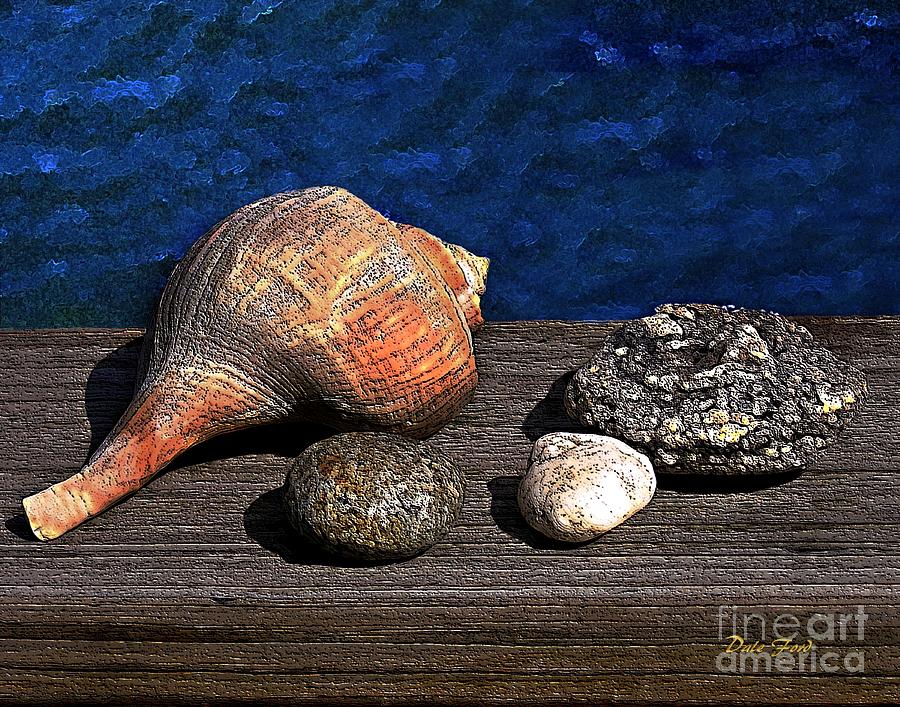 Gifts from the Sea Digital Art by Dale   Ford