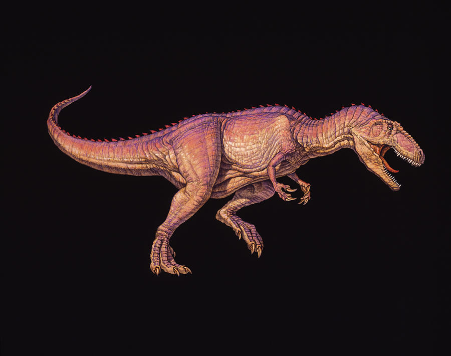 dinosaur king giganotosaurus