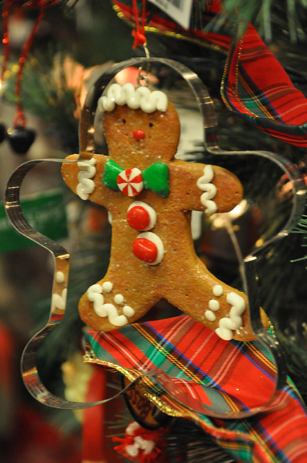 Gingerbread Christmas Photograph by Teresa Blanton