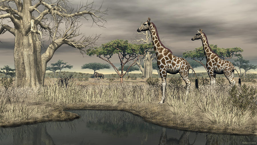 Giraffe at the Waterhole Digital Art by Walter Colvin