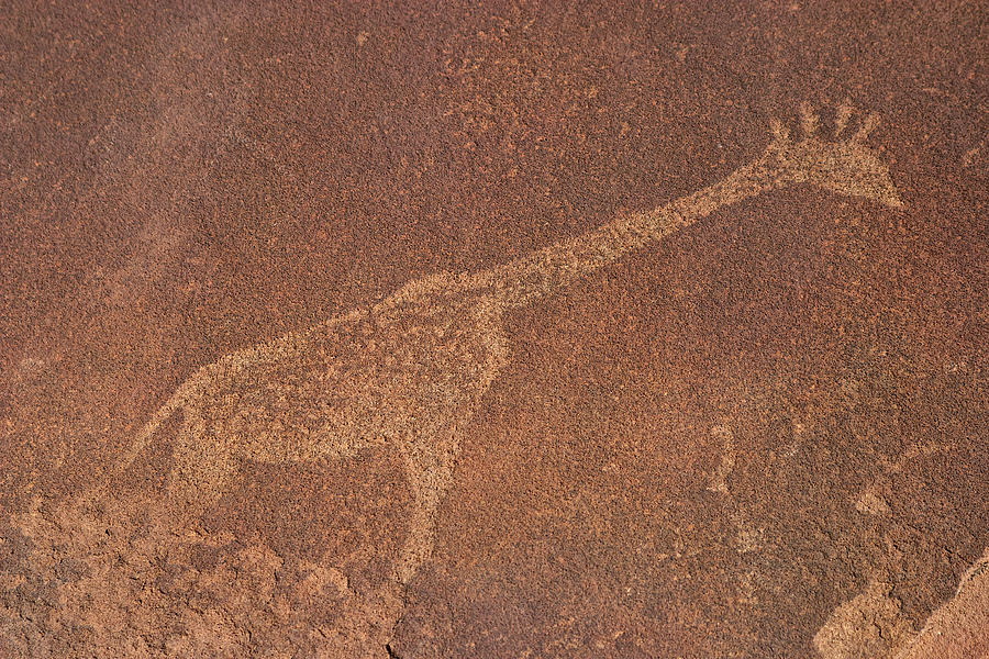 Giraffe Petroglyph Namibia Photograph by David Kleinsasser