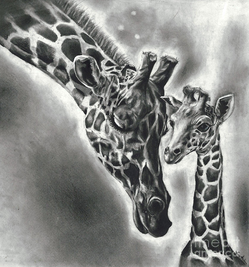 giraffe and baby pencil drawing