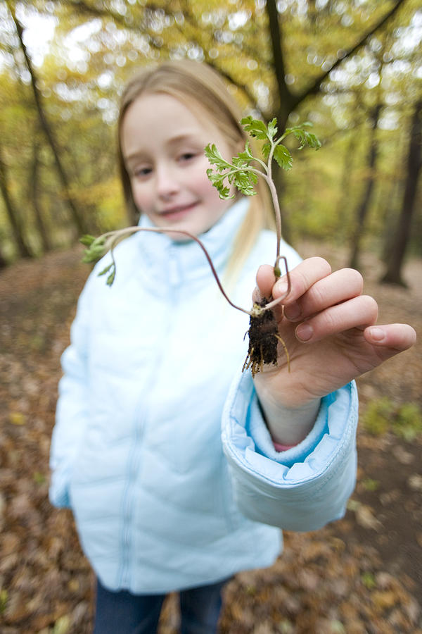 Fall Photograph - Girl Holding A Plant Seedling by Ian Boddy
