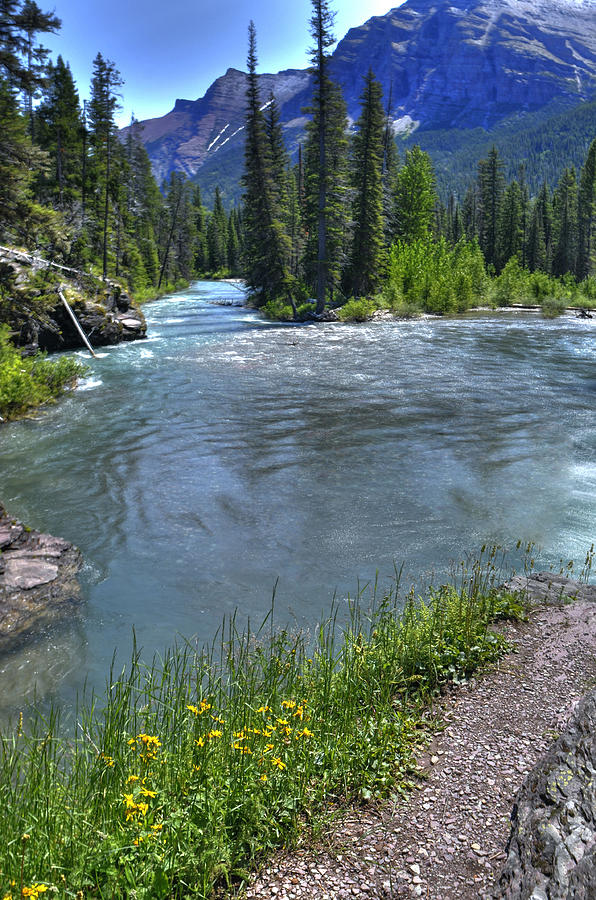 Glacier Park Stream Photograph by Don Wolf
