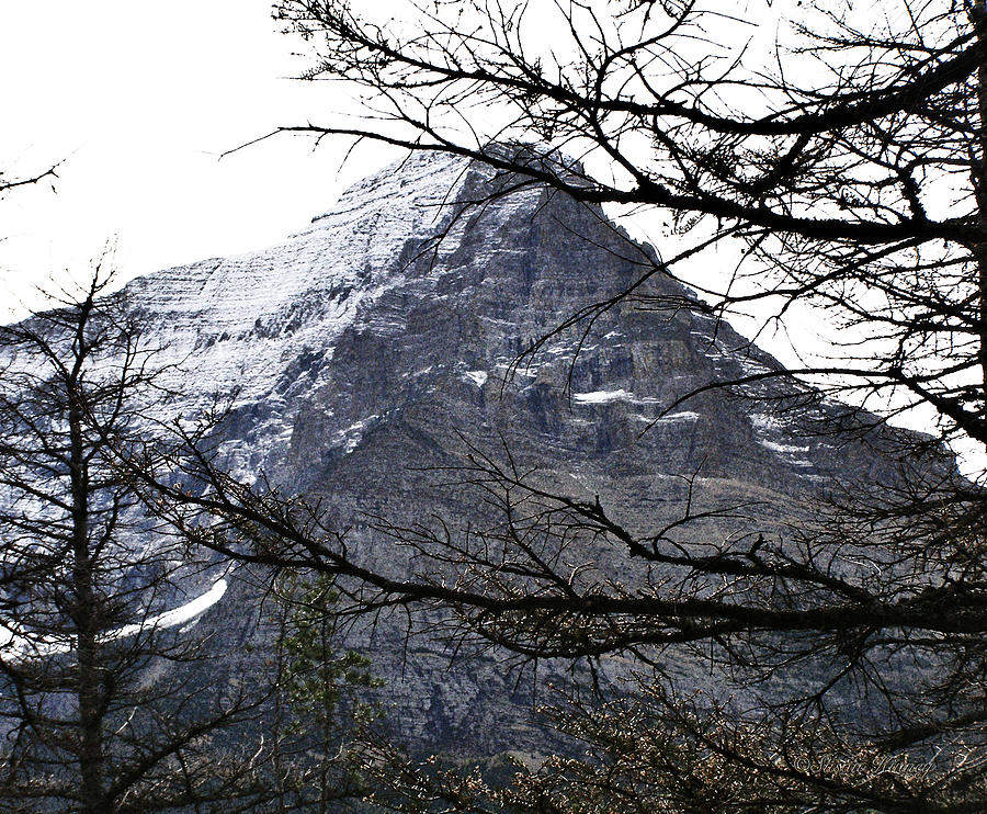 Glacier Peak Photograph by Susan Kinney