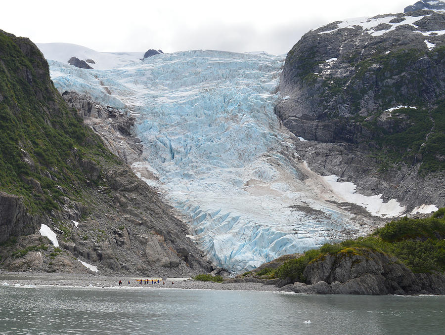 Seward Photograph - Glacier Summer in Seward by Ann Marie Chaffin Seward Photograph - Glacier Summer in Seward by Ann Marie Chaffin