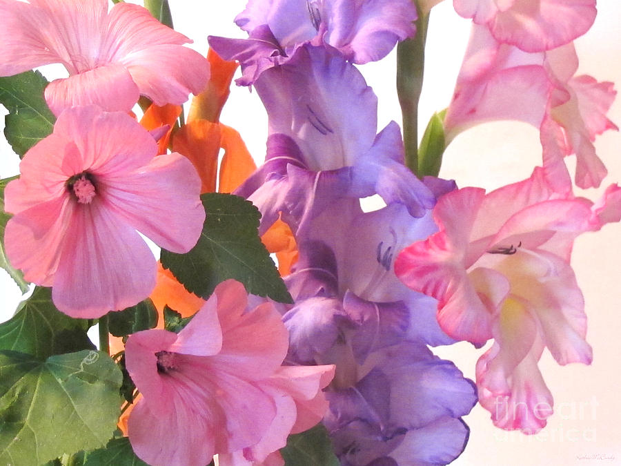 Gladiola Bouquet Photograph by Kathie McCurdy